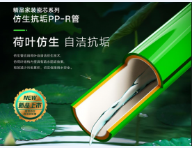 (家装)荷叶仿生自洁抗垢PP-R管1