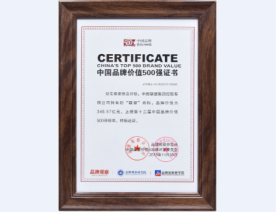 中国品牌价值500强